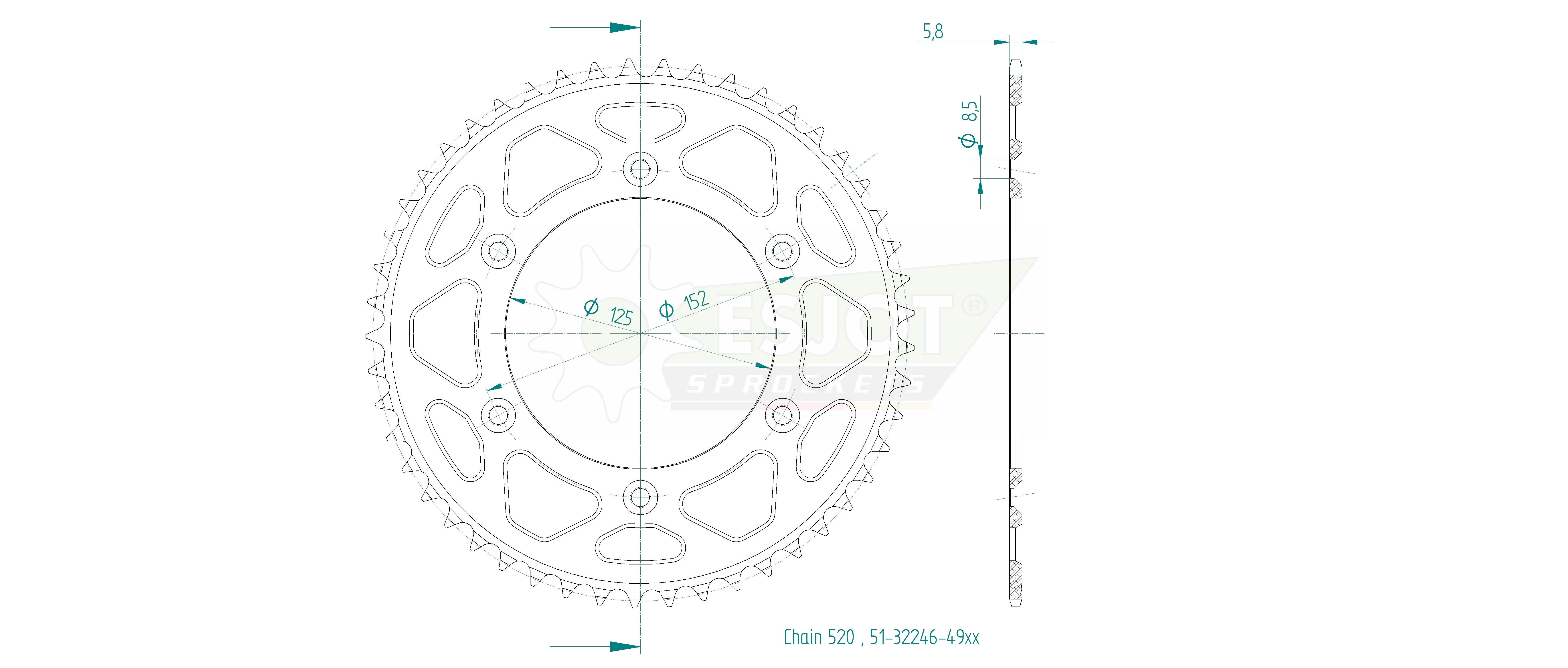 ESJOT Schlammkettenrad für BETA RR 125-520 2013-, schwarz