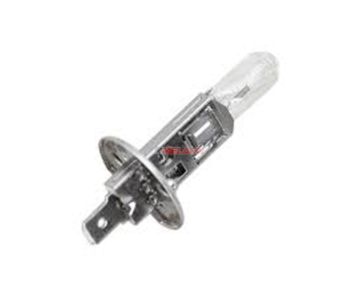 TECH H1 LAMPE           55W12V