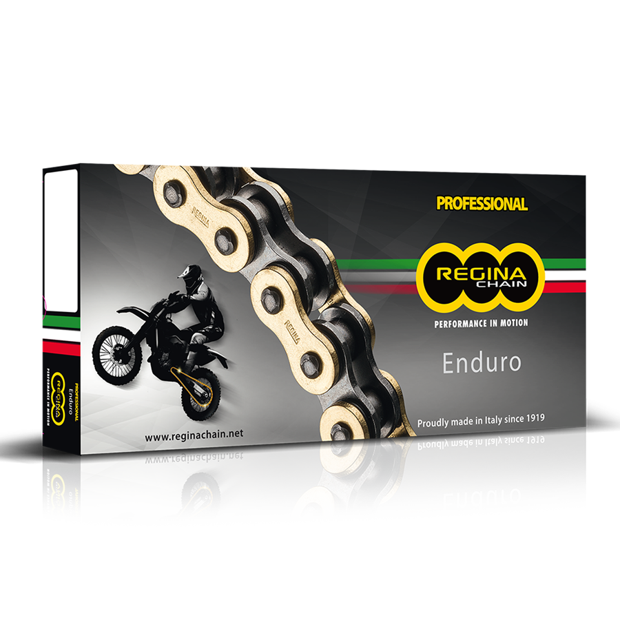 REGINA Z-Ring-Kette 520 ZRE mit Clipschloss 114 Glieder, gold